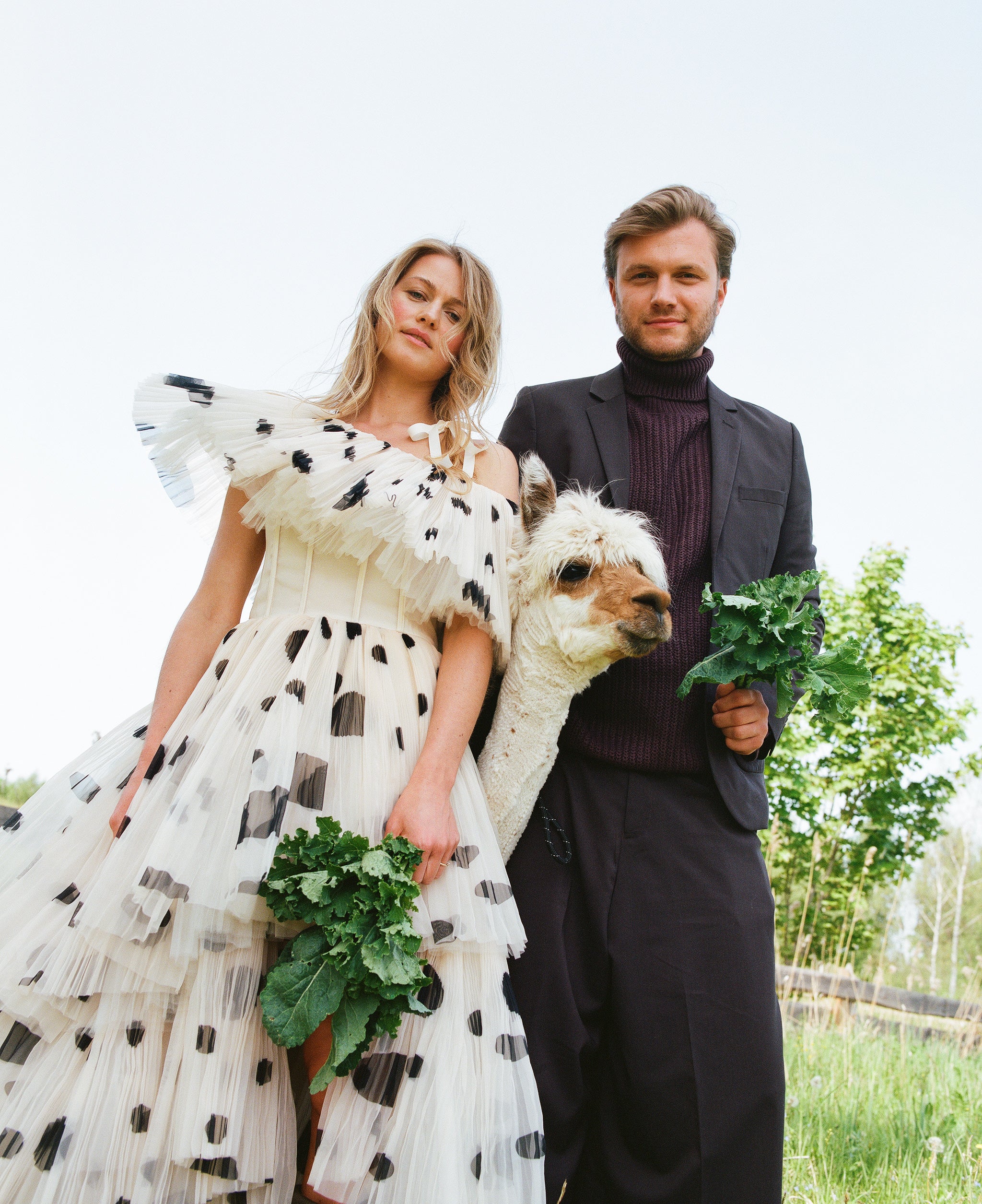 Organic Kale Chips - 5 Fantastic Flavours Bundle 10% Off (5 x 45g)