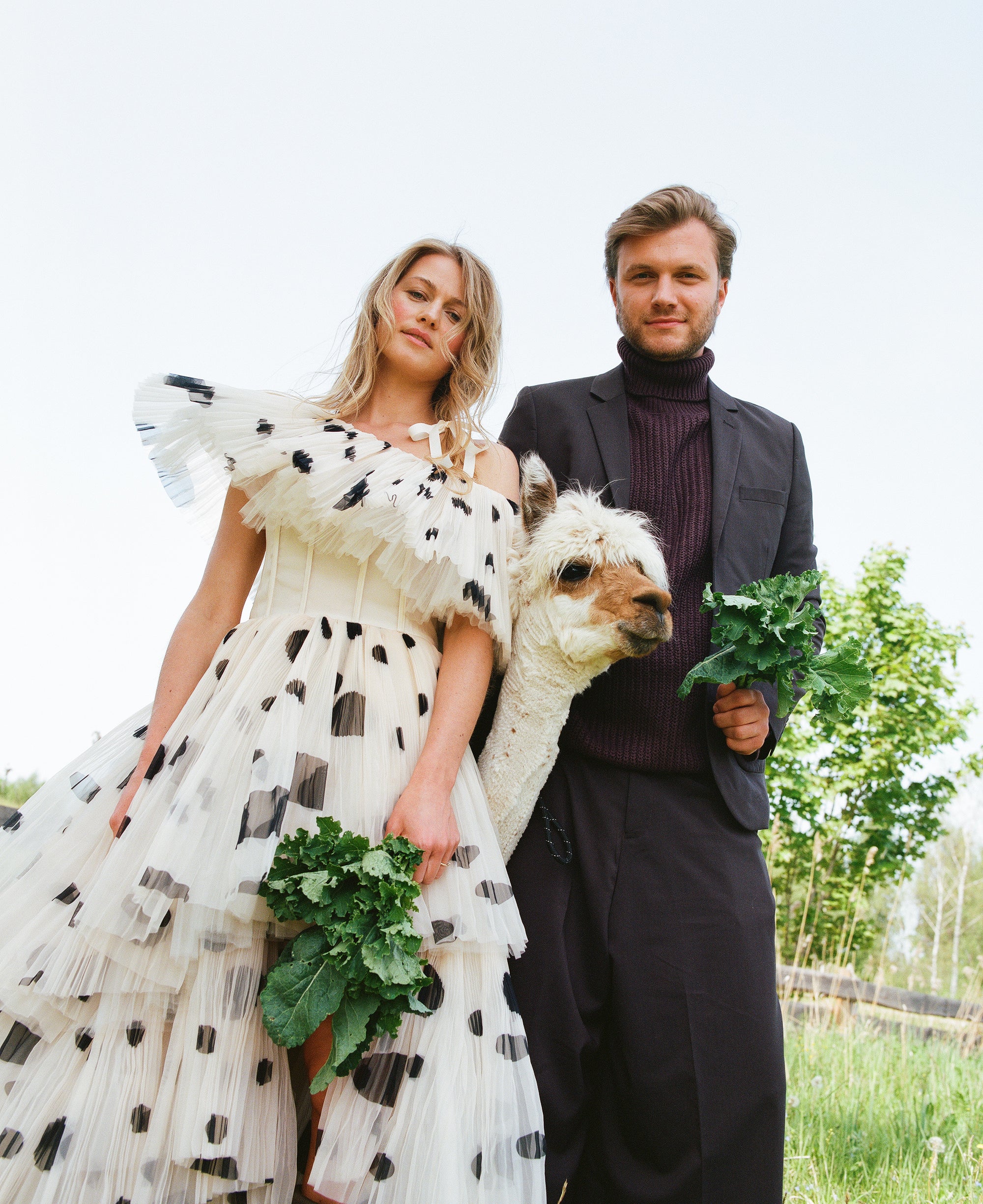 Kalé Organic Kale Chips - Dope (45g)