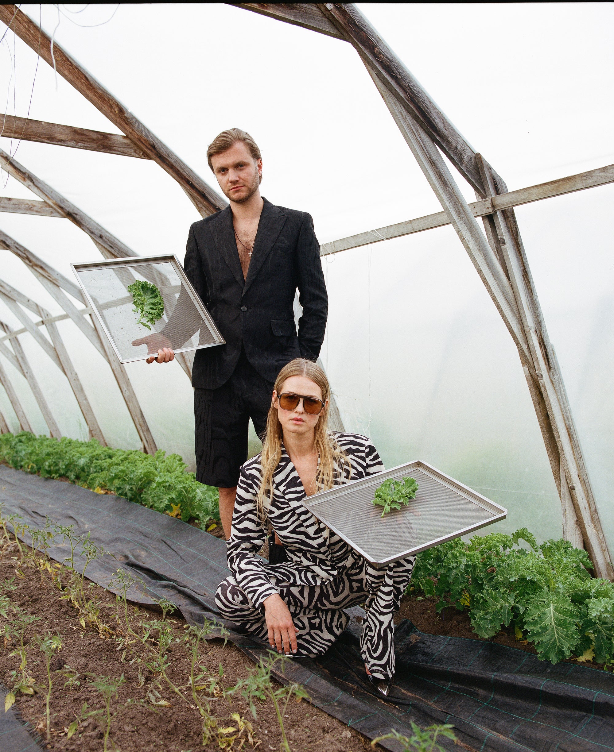 Kalé Organic Kale Chips - 5 Fantastic Flavours Bundle 10% Off (5 x 45g)