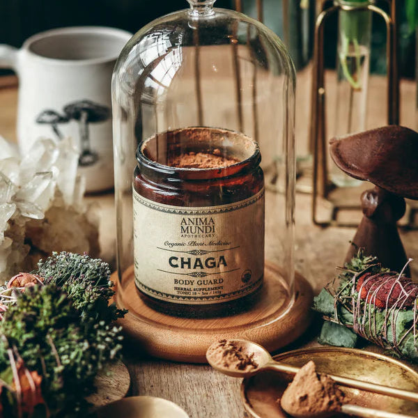 Chaga Mushroom Powder