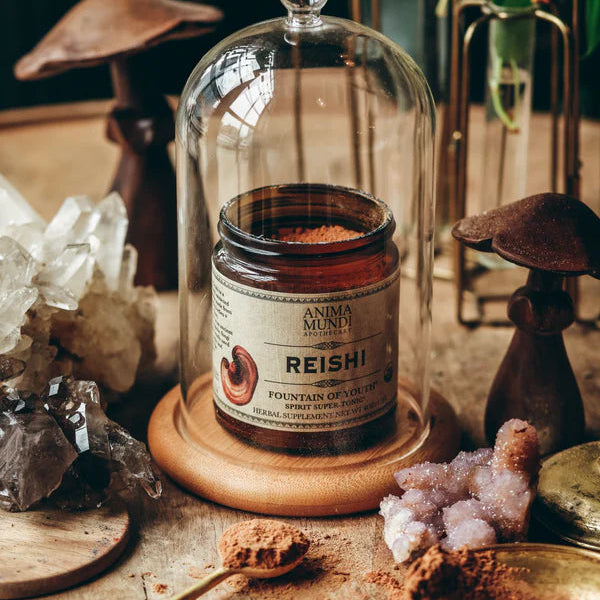 Reishi Mushroom Powder