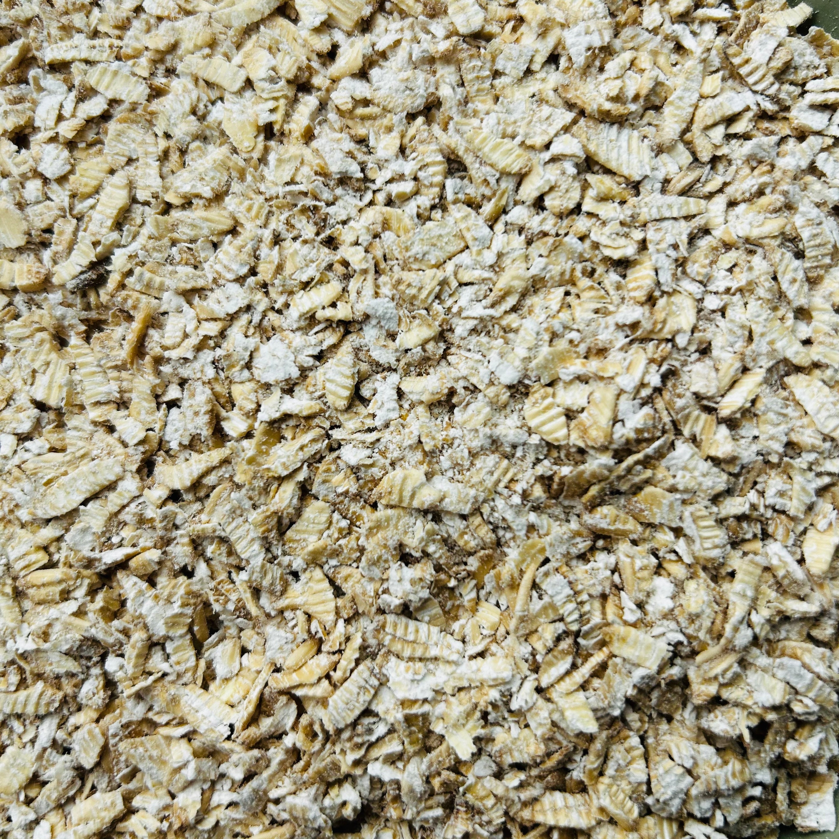 Organic Sprouted Oats
