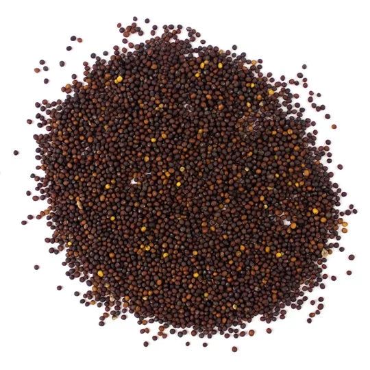 Organic Broccoli Raab Sprouting Seeds (100g)