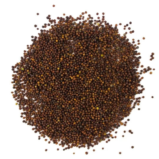 Skysprouts - Organic Kale Sprouting Seeds (100g)