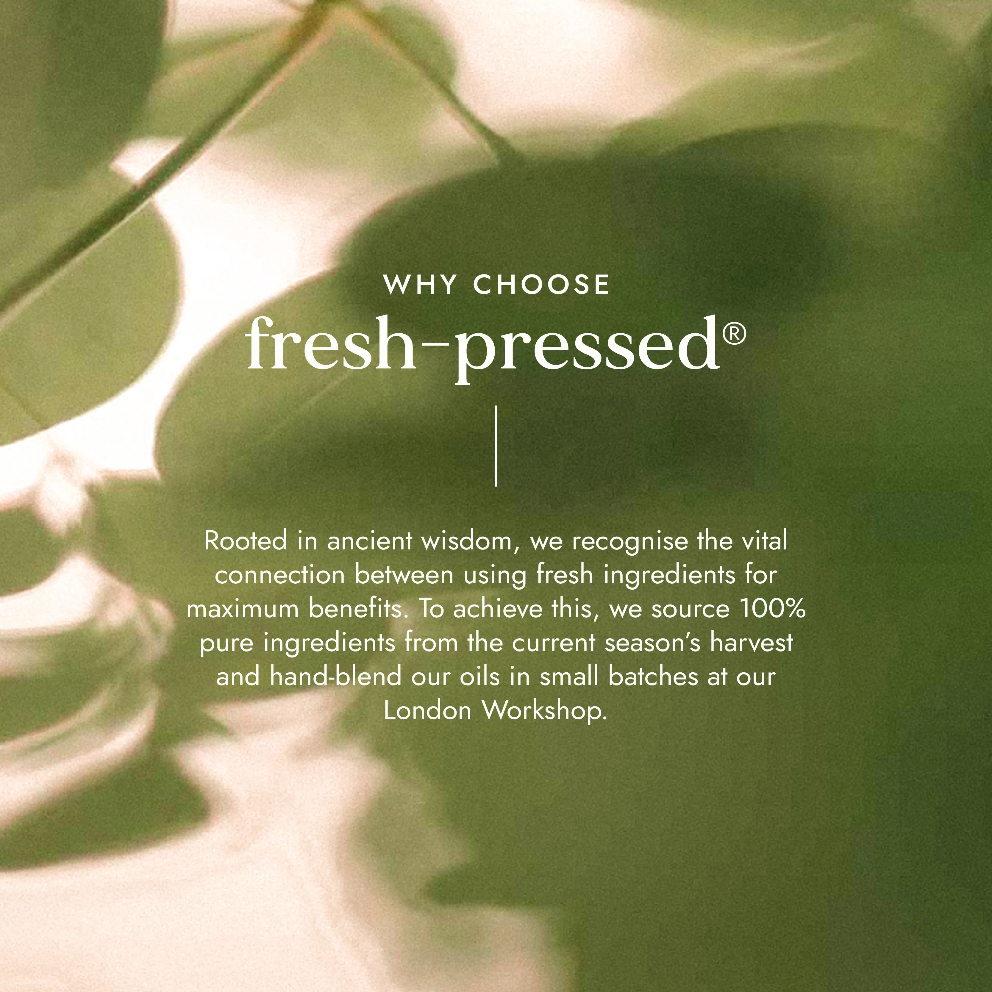 Organic Sesame Seed Oil Virgin (100ml)