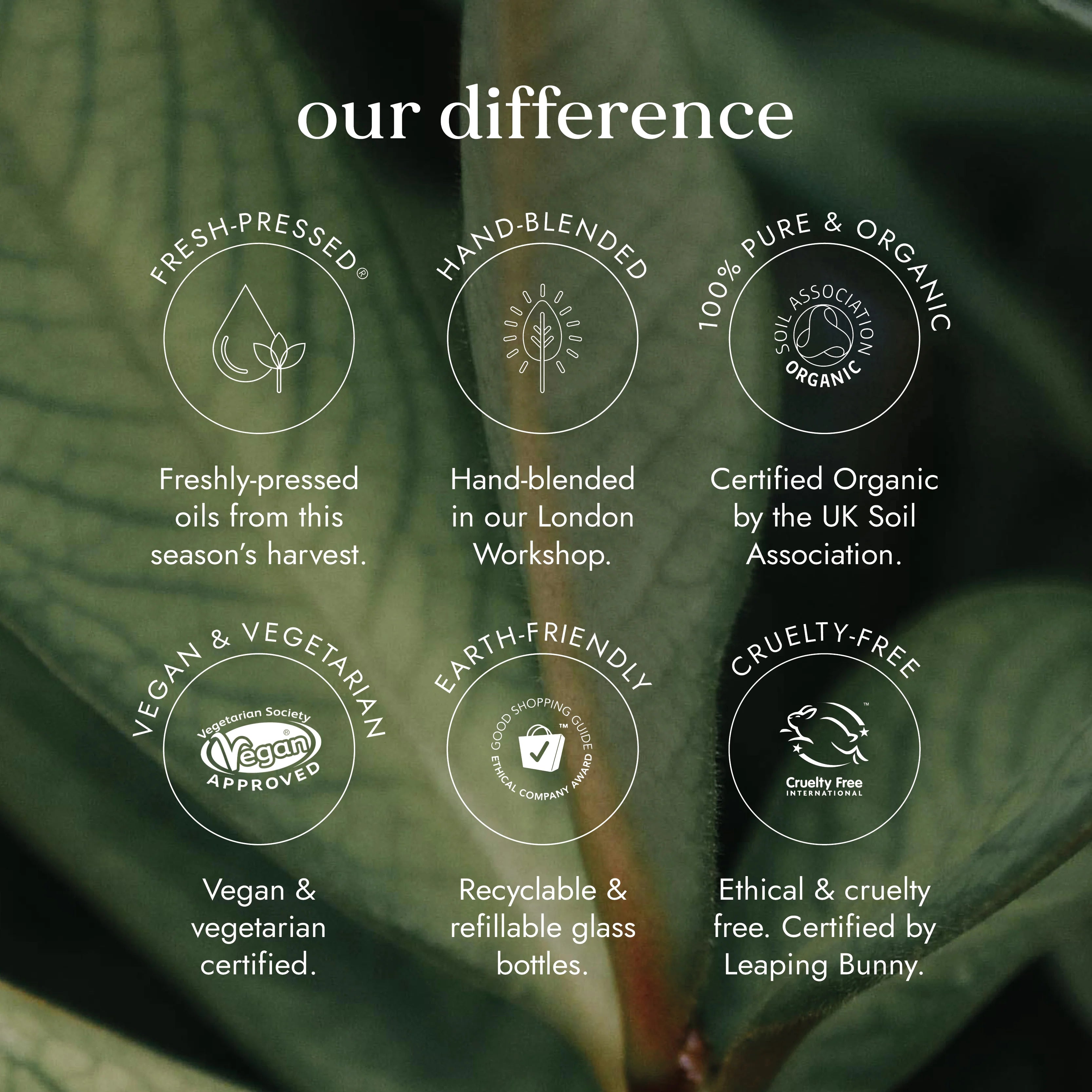 Organic Sesame Seed Oil Virgin (100ml)