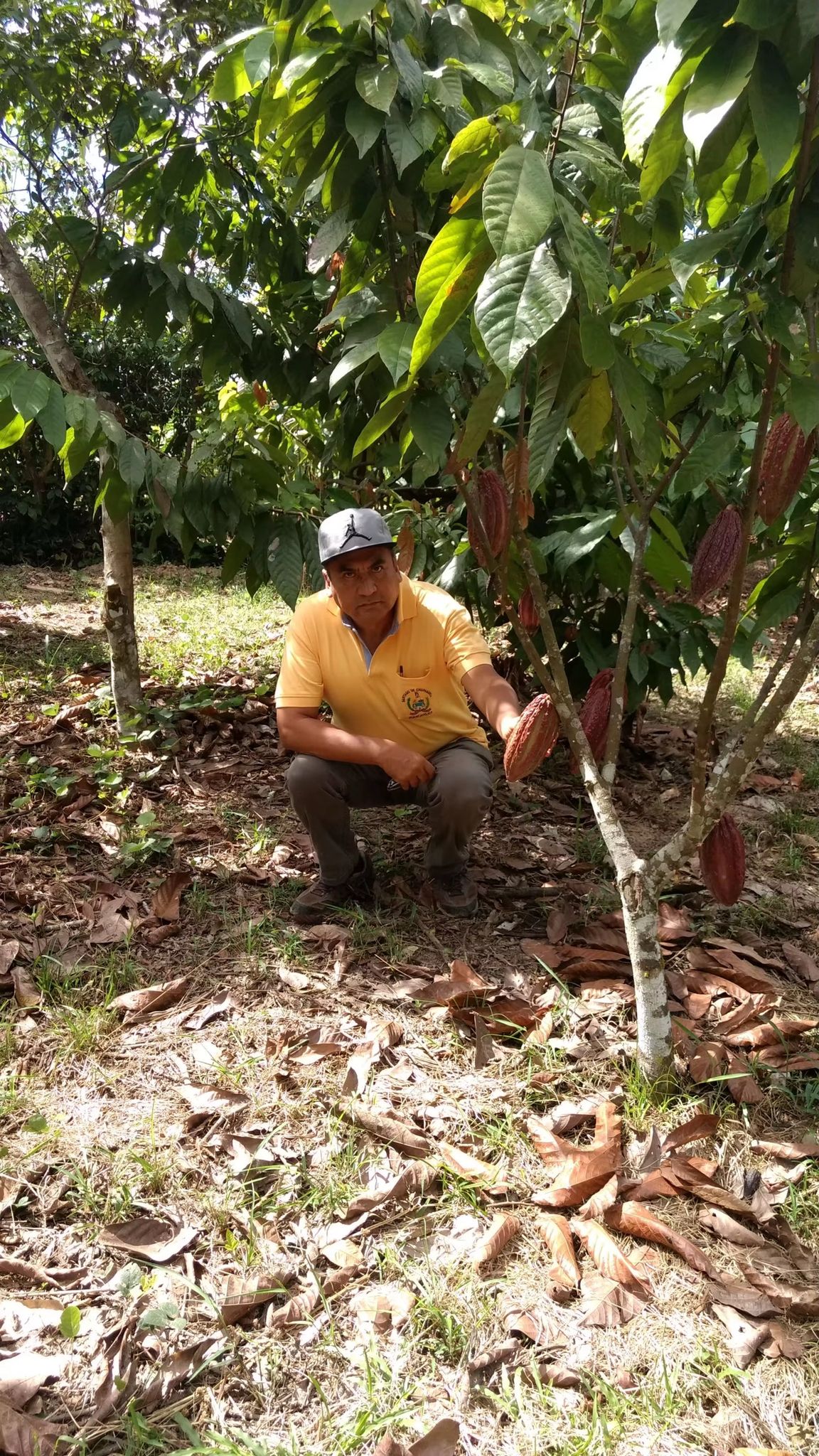 Ceremonial Cacao Liquor Peruvian - Raw