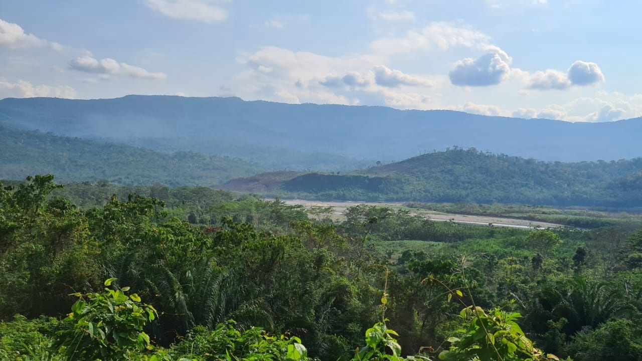 Ceremonial Cacao Liquor Peruvian - Raw