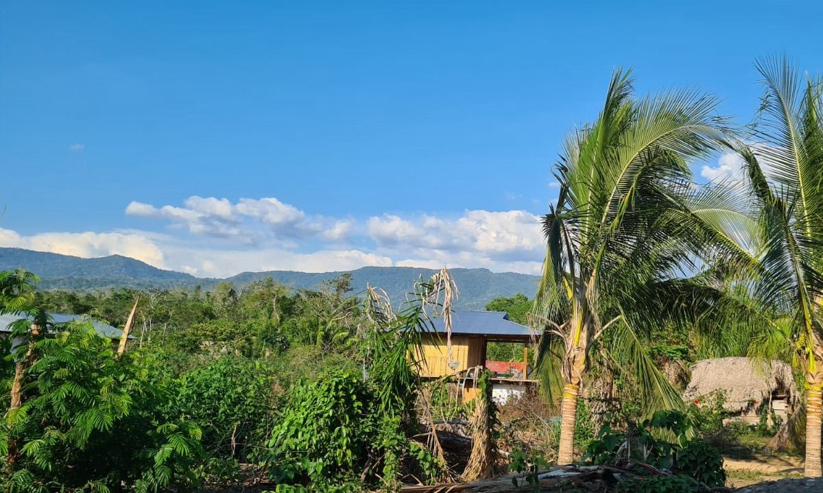Ceremonial Cacao Liquor Peruvian - Raw
