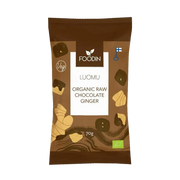 Organic Raw Chocolate Coated Ginger