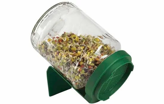 Biosnacky Glass Sprouter