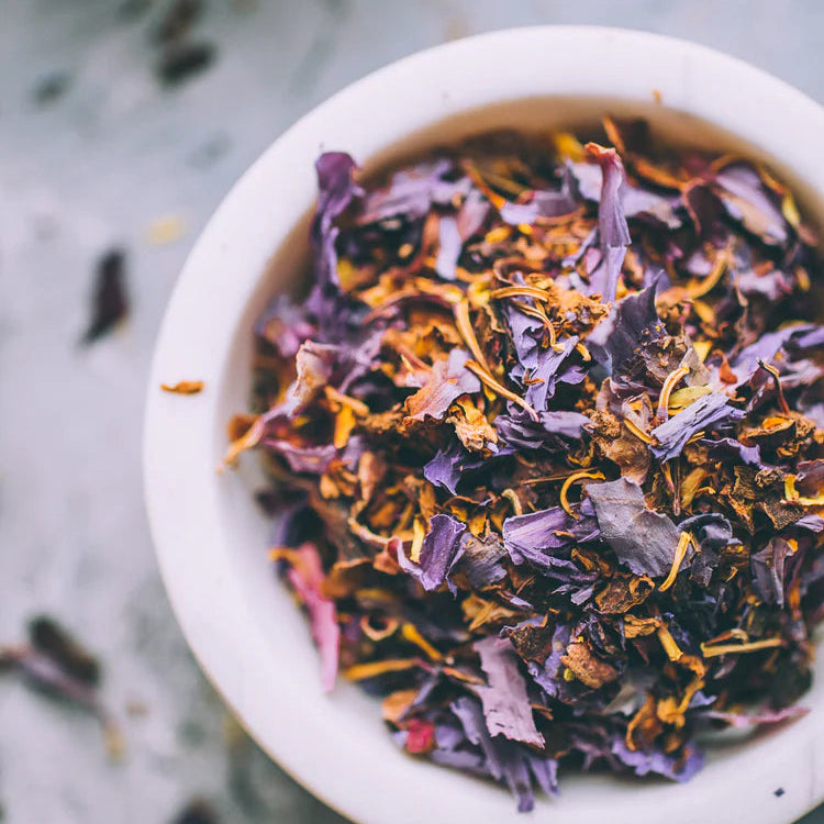 Egyptian Blue Waterlily Flowers