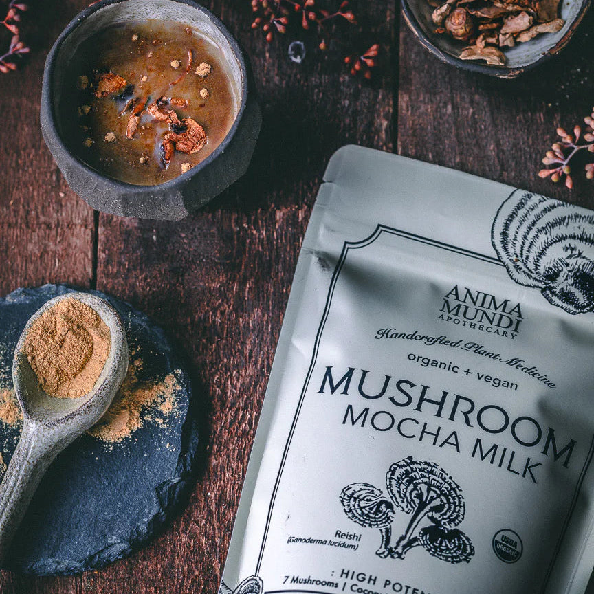 Mushroom Mocha Milk