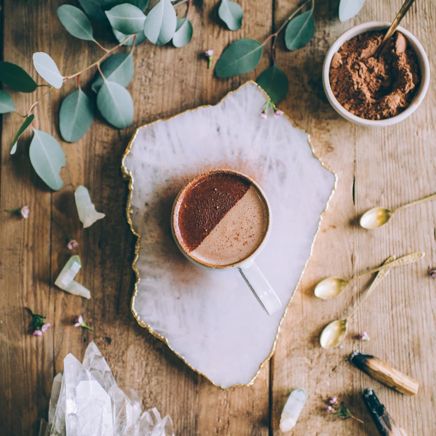 Mushroom Mocha Milk