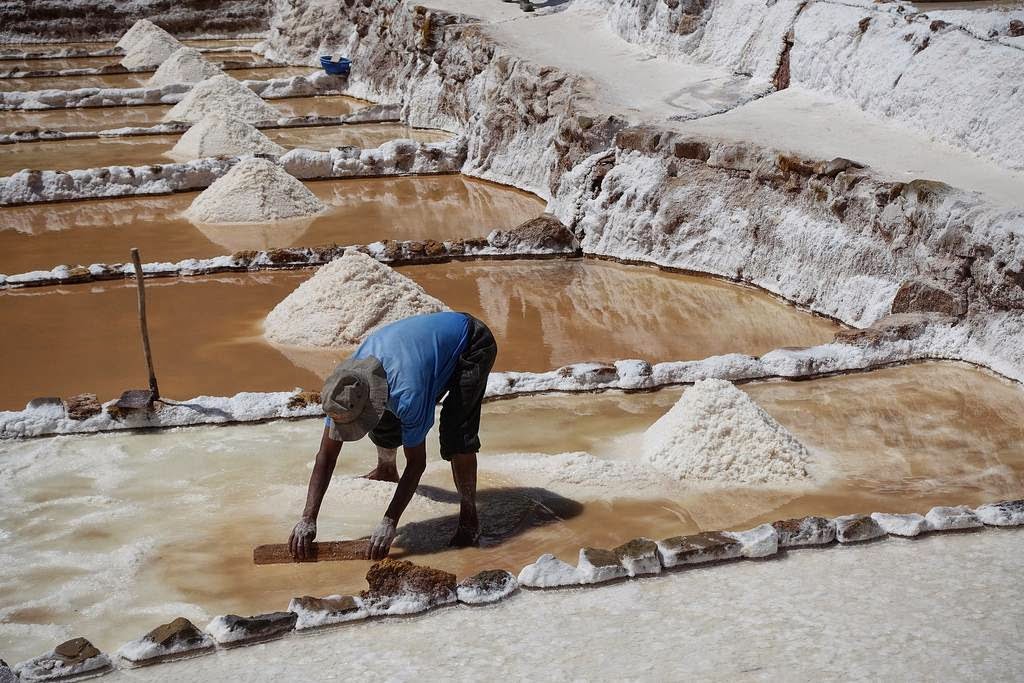 Peruvian Maras Salt - Fine