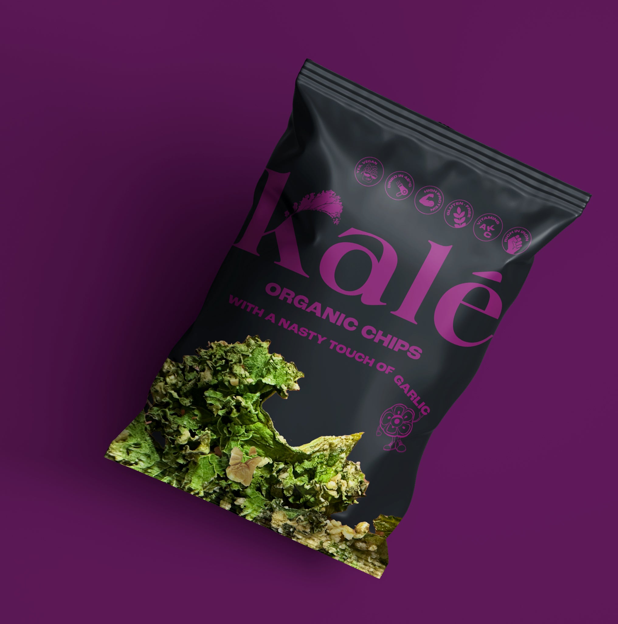 Organic Kale Chips - Nasty (45g)