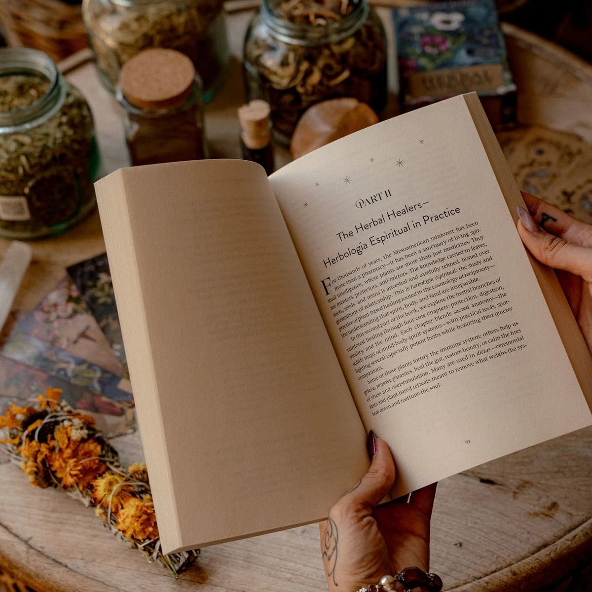 The Rainforest Herbal Apothecary open at Part II, The Herbal Healers