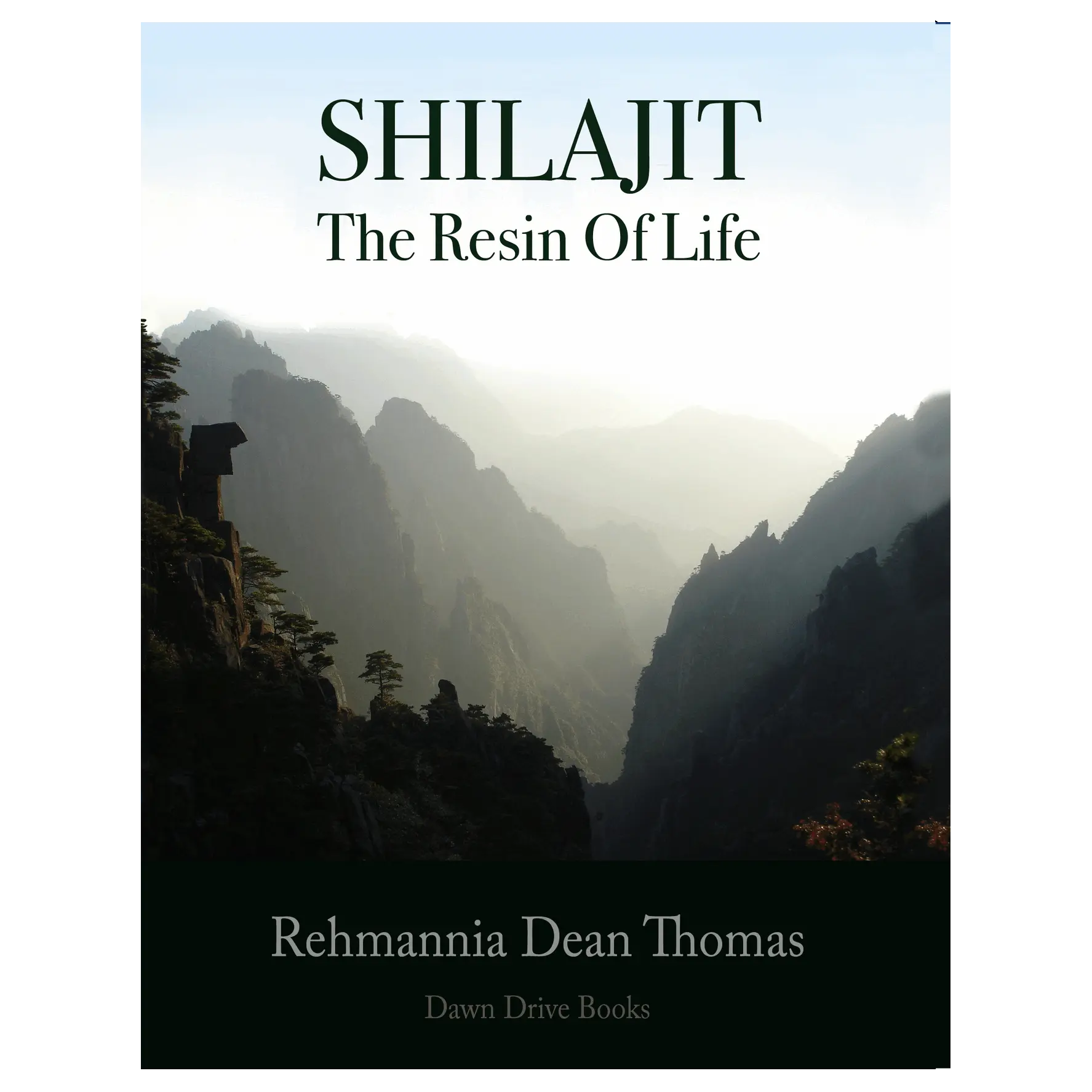 Shilajit | Thomas, R. | Raw Living UK | Books | In 'Shilajit', Rehmannia Thomas writes about Shilajit, 'The Resin of Life' and all of its amazing properties.