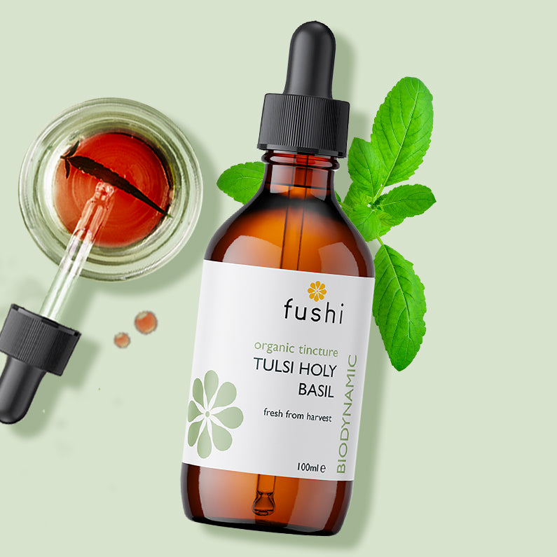 Organic Tulsi Tincture (100ml) | Fushi | Raw Living UK | Fushi Organic Tulsi Tincture: Tulsi (Holy Basil) is a sacred calming Ayurvedic herb, revered as a relaxing herb for body and mind. Premium Quality Tincture.