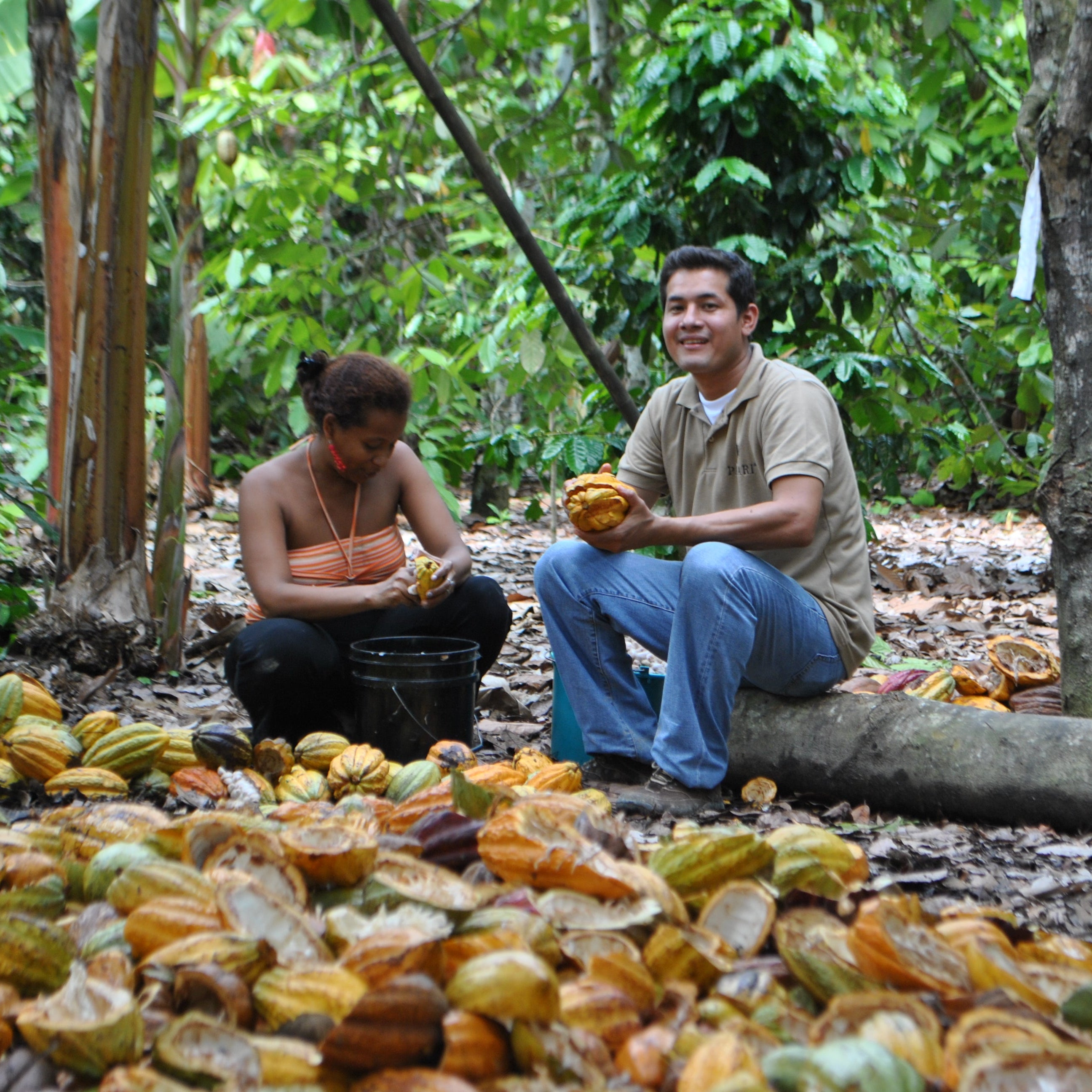 Raw Organic Chocolate Bar 70% With Maca (50g)
