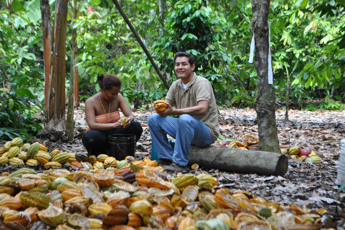 Pacari Raw Organic Ceremonial Grade Cacao PASTE (200g, 454g)