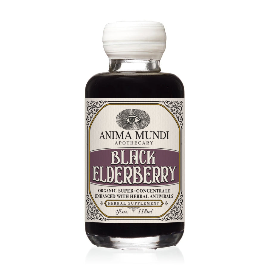 Black Elderberry Syrup (2oz, 4oz) - Anima Mundi Herbals