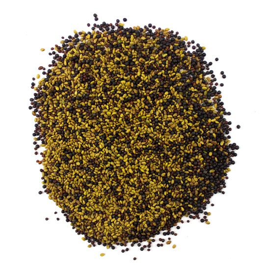 Organic Alfalfa & Broccoli Sprouting Seeds