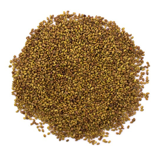 Organic Alfalfa Sprouting Seeds (100g)