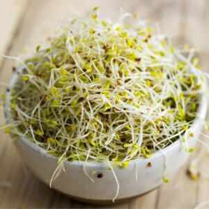 Organic Alfalfa Sprouting Seeds (100g)