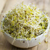 Skysprouts - Organic Alfalfa Sprouting Seeds (100g)