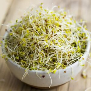 Skysprouts - Organic Alfalfa Sprouting Seeds (100g)