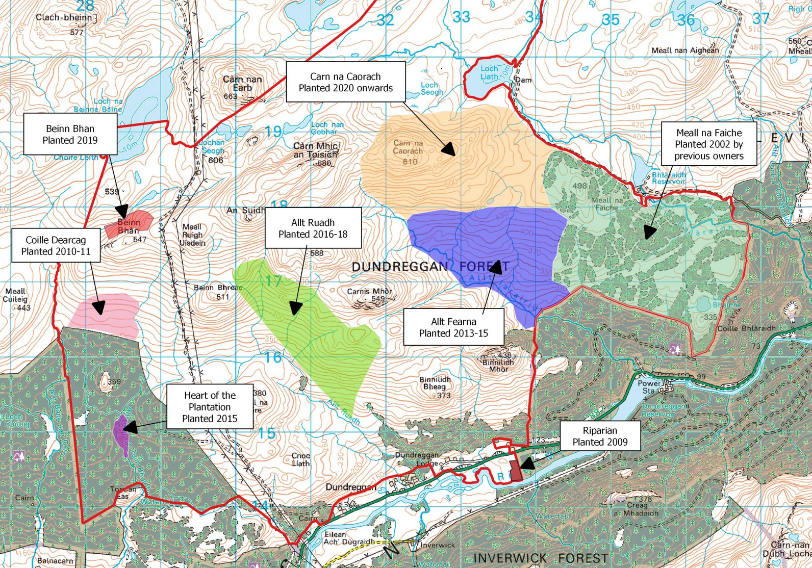 Plant a Tree | Trees for Life | Raw Living UK | Trees For Life is a multi-award winning conservation charity. For over 25 years, they have worked with thousands of volunteers to rescue the Caledonian Forest.