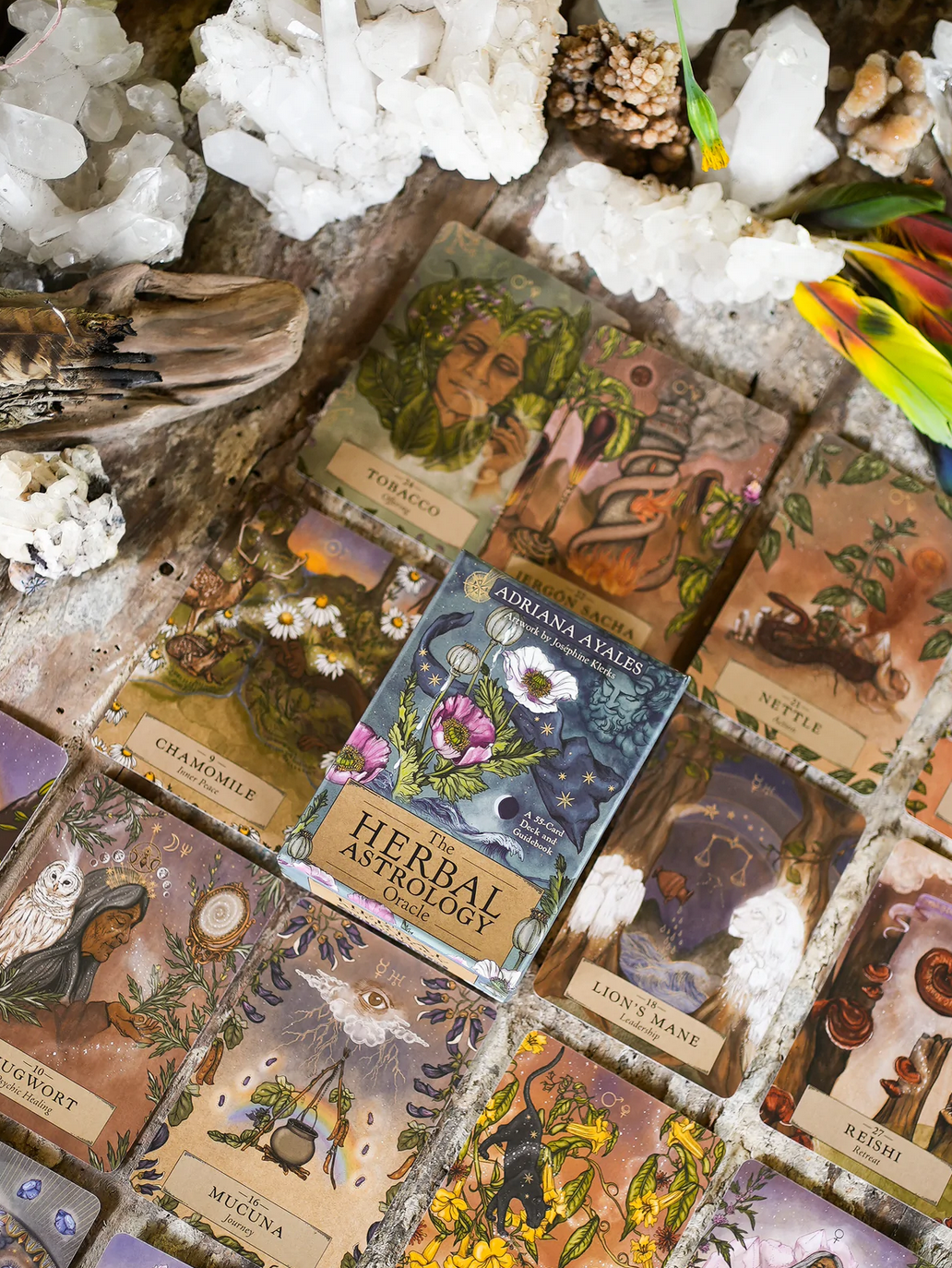 Herbal Astrology Oracle Cards