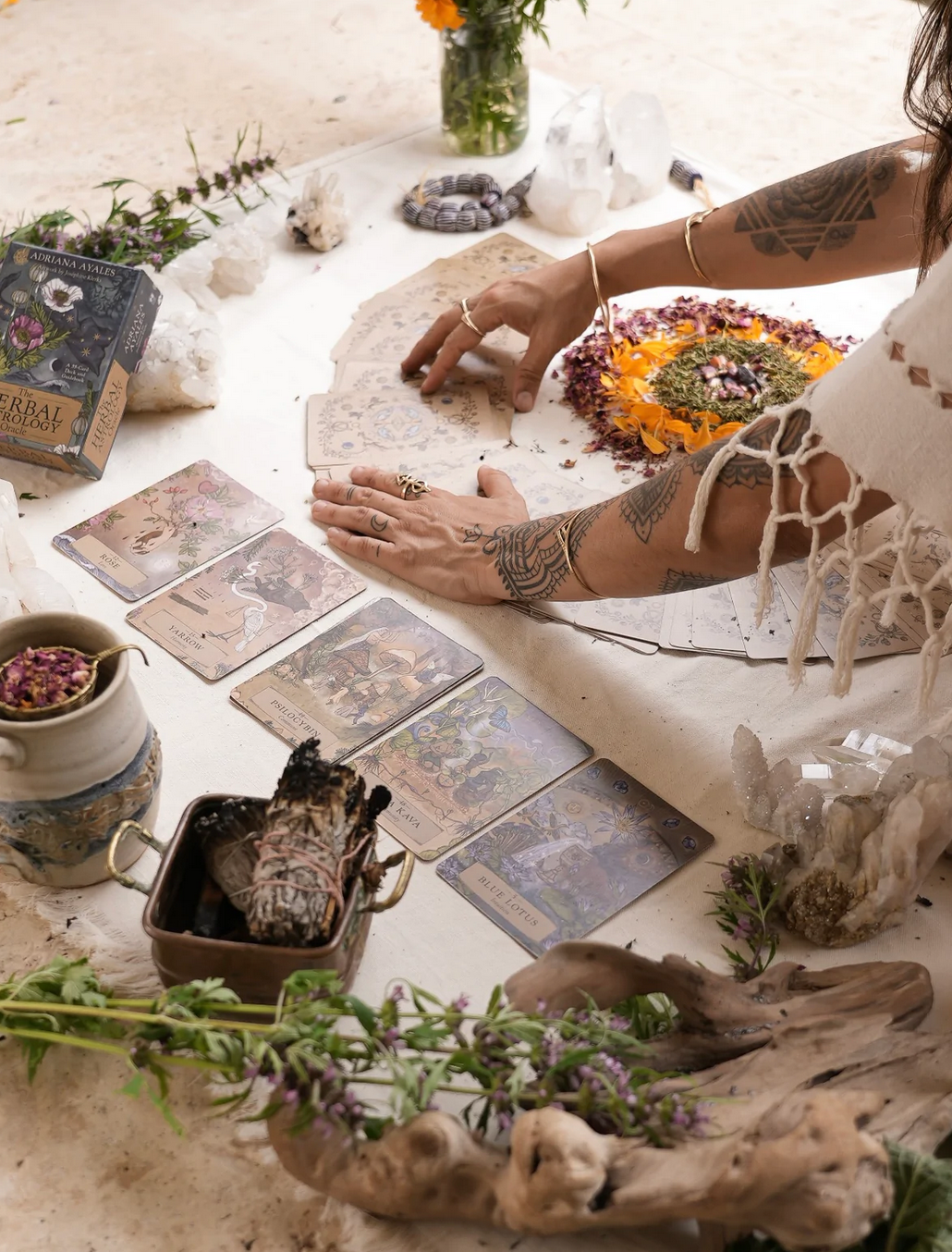 Herbal Astrology Oracle Cards