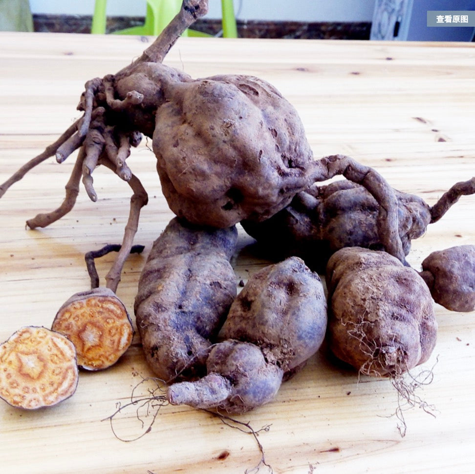 He Shou Wu Powder | Raw Living UK | Tonic Herbs | Super Foods | Adaptogens | Raw Living He Shou Wu Powder (Fo-Ti) is a premium quality, superior Tonic Herb &amp; Adaptogen known to increase Vitality, Life-Force &amp; Youthful Appearance.