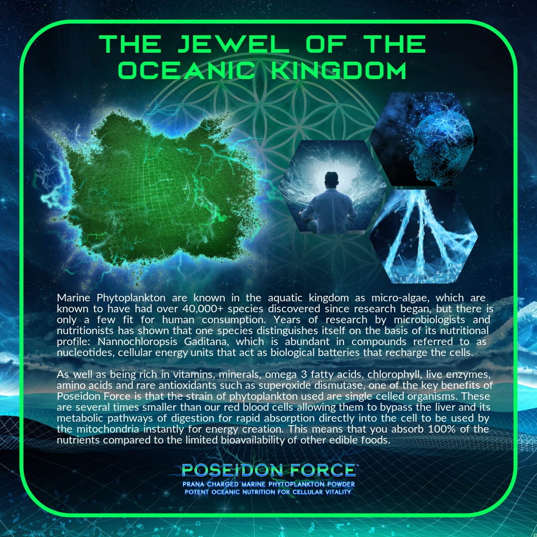 Poseidon Force Phytoplankton | Primal Alchemy | Raw Living UK | Supplements | Primal Alchemy Poseidon Force Phytoplankton is Prana-Charged Marine Phytoplankton Powder. Full of Vitamins &amp; Minerals, it&#39;s nature&#39;s potent superfood source.