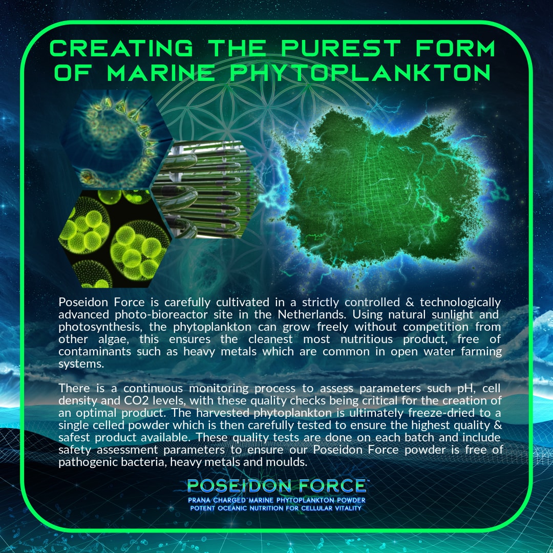 Poseidon Force Phytoplankton | Primal Alchemy | Raw Living UK | Supplements | Primal Alchemy Poseidon Force Phytoplankton is Prana-Charged Marine Phytoplankton Powder. Full of Vitamins &amp; Minerals, it&#39;s nature&#39;s potent superfood source.