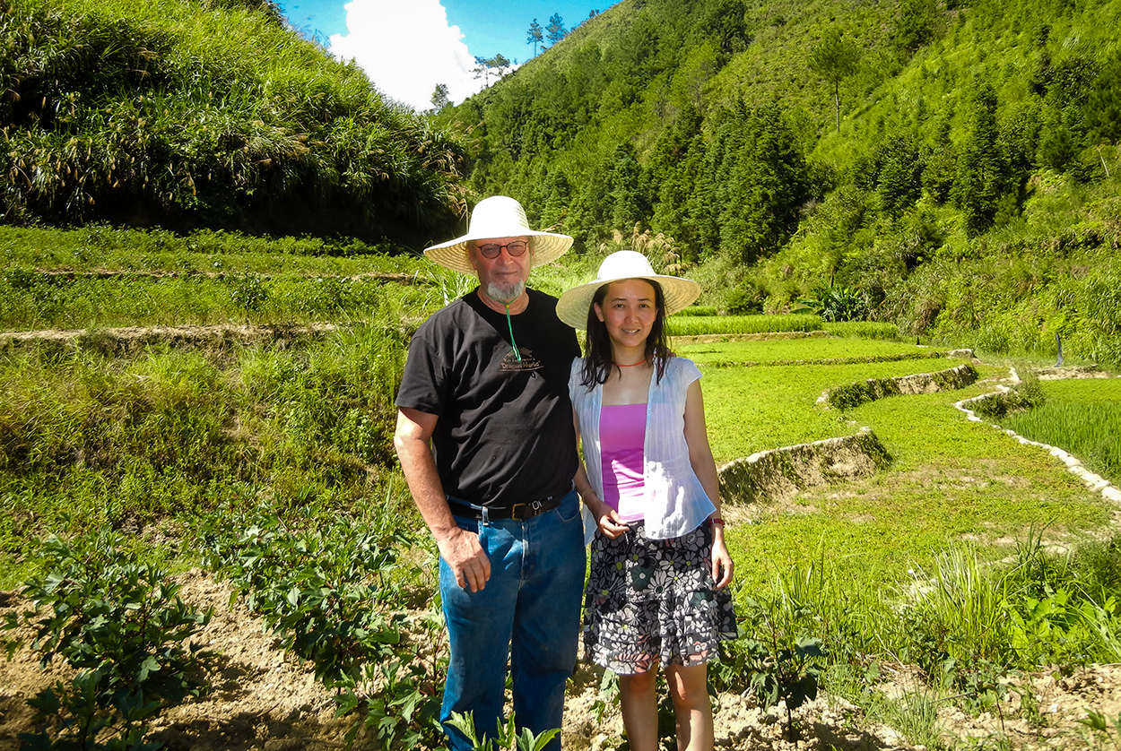 Spring Dragon Longevity Tea | Dragon Herbs | Raw Living UK | Herbal Teas | Dragon Herbs Spring Dragon Tea is made with Gynostemma. Known in Asia as "Longevity Tea," and also “magical grass" due to the vast health benefits reported.