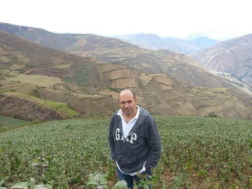 Yacon Syrup | Raw Living UK | Natural Sweeteners | Raw Living Yacon is a Peruvian root vegetable containing Fructo-Oligosaccharides sugars. These sugars not absorbed by the body, making Yacon a Low GI Sweetener.