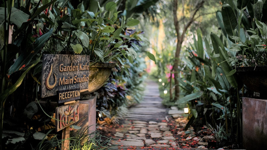 Kate Magic | Magic Deposit Payment | Raw Living UK | Events | This Raw Food Course combines Raw Vegan nutritional advice, with Practical Kitchen Skills, and a Spiritual and Philosophical underpinning.